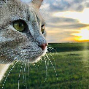 Meet your Posher, Kara